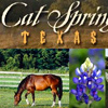Cat Spring Texas
